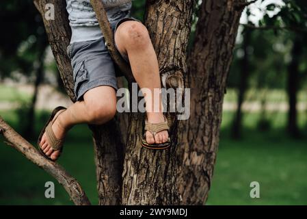 Close up of child's dirty legs climbing tree in summer Stock Photo