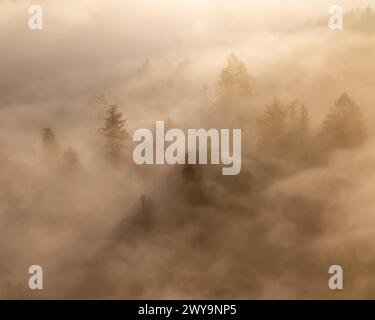 The fog envelops trees and hills as the sun shines through clouds Stock Photo