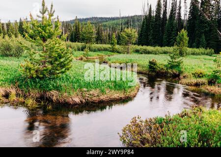 Bucolic stream winding through lush Montana countryside Stock Photo