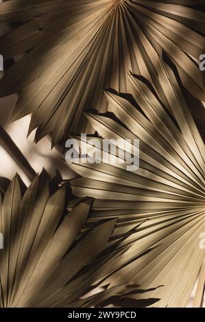 Dried tropical palm tree leaves on beige fabric with light shadows Stock Photo