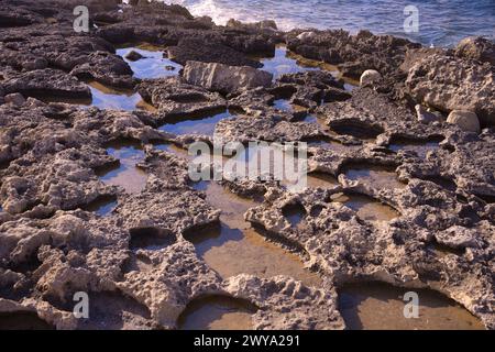 Rocky coast in Bugibba, Malta, Mediterranean, Europe Copyright: MichaelxSzafarczyk 1235-358 Stock Photo