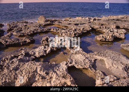 Rocky coast in Bugibba, Malta, Mediterranean, Europe Copyright: MichaelxSzafarczyk 1235-354 Stock Photo