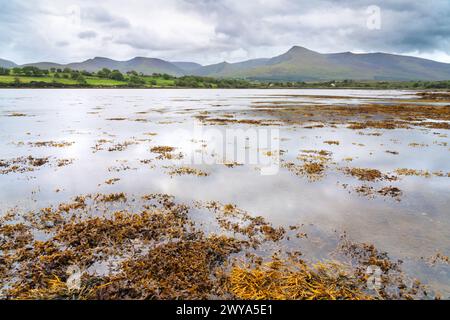 Rocky shore of the Owenmore estuary at Cloghane, County Kerry, Ireland Stock Photo