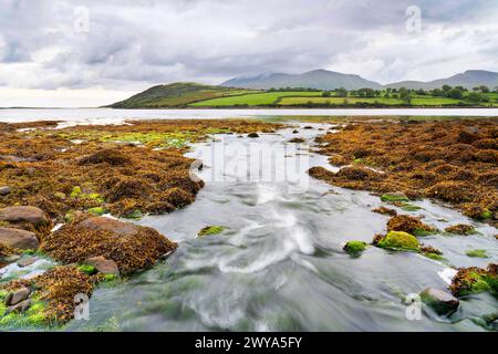 Rocky shore of the Owenmore estuary at Cloghane, County Kerry, Ireland Stock Photo