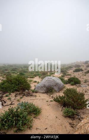 Morning misty in the desert of north side in Qatar. Stock Photo