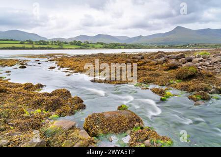 Rocky shore of the Owenmore estuary at Cloghane, County Kerry, Ireland Stock Photo