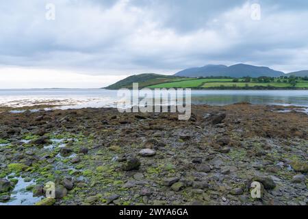 Rocky shore of the Owenmore estuary at Cloghane, County Kerry, Ireland Stock Photo