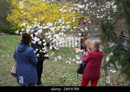 Kiev, Ukraine. 3rd Apr, 2024. People enjoy spring time under blooming flowers at the botanical garden in Taras Shevchenko National University of Kyiv in Kiev, Ukraine, April 3, 2024. Credit: Roman Petushkov/Xinhua/Alamy Live News Stock Photo