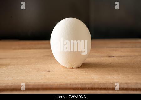 Columbus egg, egg staning on the egg top, by hitting it on a hard surface and cracking the egg shell, therefore enabling it to stand on top.  Apocryph Stock Photo