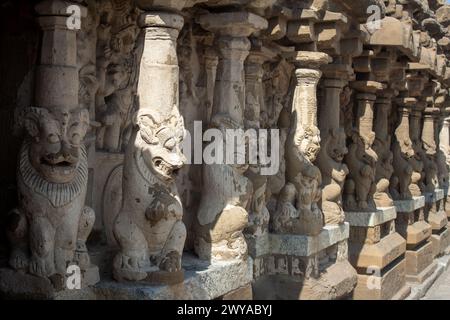 The pillars of the Kailasanathar Temple also referred to as the Kailasanatha temple, Kanchipuram, Tamil Nadu, India. It is a Pallava era historic Hind Stock Photo