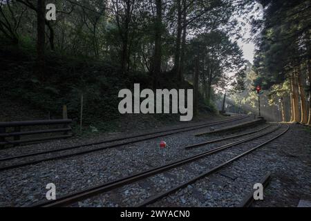 Curved railway track into misty woods with light beams piercing through the forest in Alishan National Park Stock Photo
