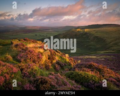 A view from Higger Tor looking over Callow Bank towards Bamford as the sun rises to illumnate the flowering heather. Stock Photo