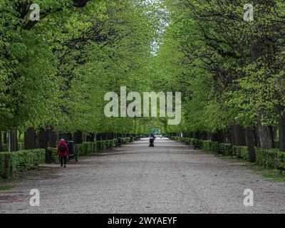 Vienna, Austria, Austria. 5th Apr, 2024. Bursting trees with green on a rainy morning at Schonbrunn gardens. (Credit Image: © Bianca Otero/ZUMA Press Wire) EDITORIAL USAGE ONLY! Not for Commercial USAGE! Stock Photo