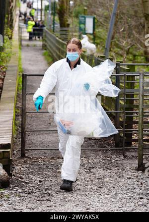 Forensic officers at Kersal Dale, near Salford, Greater Manchester, where a major investigation has been launched after human remains were found on Thursday evening. Greater Manchester Police (GMP) said officers were called by a member of the public who found an 'unknown item wrapped in plastic'. Picture date: Friday April 5, 2024. Stock Photo