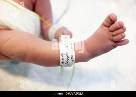 Newborn baby, pediatrics. Hospital Policlinica Gipuzkoa, San Sebastian, Donostia, Euskadi, Spain. Stock Photo