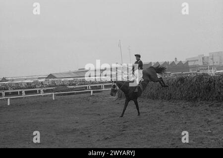 File photo dated 08-04-1967 of Foinavon, ridden by John Buckingham, lands confidently after sailing over the last fence in the Grand National. 1967: The year of the horrific pile-up at the 23rd. John Buckingham and complete outsider FOINAVON avoid the melee and gallop on to a 100-1 win. Issue date: Friday April 5, 2024. Stock Photo