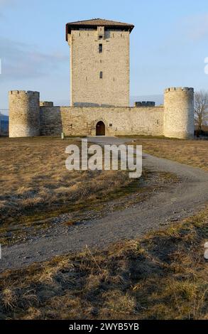 Vitoria / Gasteiz, Araba, Spain - 13th April 2025: Eduardo Camavinga of