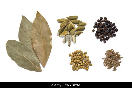 assorted spices isolated on a white background including bay leaves, cardamom pods, coriander seeds, cumin, star anise, cinnamon sticks, black pepperc Stock Photo