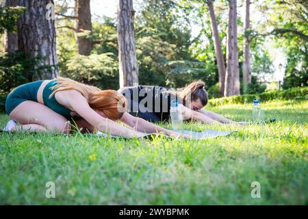 Two women are doing yoga in a park. One of them is wearing a green top. Stock Photo