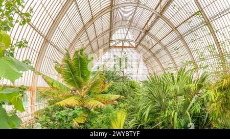 Kew, Richmond, Uk; April 04, 2024 - The Palm House is a large greenhouse in the Royal Botanic Gardens, Kew, in London. It was completed in 1848. Stock Photo