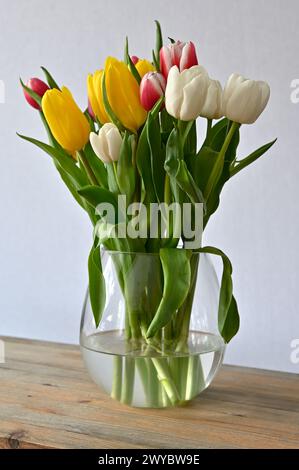 yellow, white and pink tulips in a glass vase on a wooden shelf on a neutral background Stock Photo