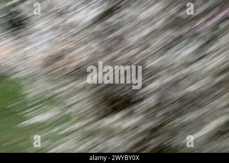 Abstract swirls of light movement Stock Photo