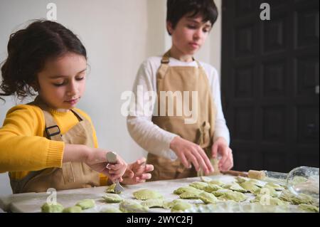 Brother and sister in beige chef's aprons, stuffing rolled dough rounds, making dumplings in the rural house kitchen interior. Adorable school childre Stock Photo