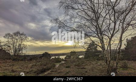 Surrey Hills Thursley and Fresnsham Common lowland heath SSI SPA Stock Photo