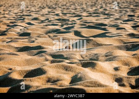 the abstract shapes of the sand on a sunny day Stock Photo
