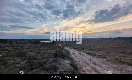 Surrey Hills Thursley and Fresnsham Common lowland heath SSI SPA Stock Photo