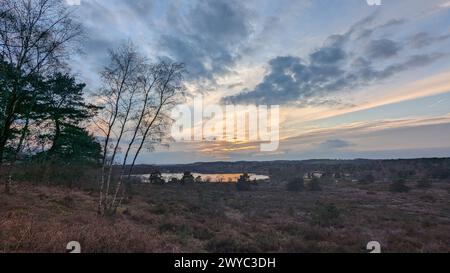 Surrey Hills Thursley and Fresnsham Common lowland heath SSI SPA Stock Photo