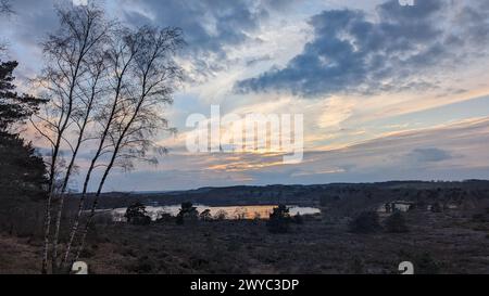 Surrey Hills Thursley and Fresnsham Common lowland heath SSI SPA Stock Photo