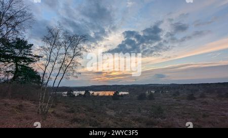 Surrey Hills Thursley and Fresnsham Common lowland heath SSI SPA Stock Photo