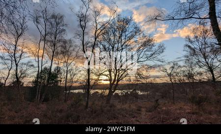 Surrey Hills Thursley and Fresnsham Common lowland heath SSI SPA Stock Photo