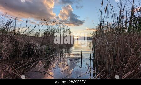 Surrey Hills Thursley and Fresnsham Common lowland heath SSI SPA Stock Photo