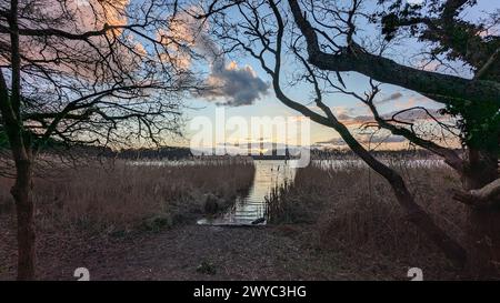 Surrey Hills Thursley and Fresnsham Common lowland heath SSI SPA Stock Photo