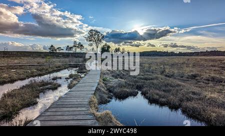 Surrey Hills Thursley and Fresnsham Common lowland heath SSI SPA Stock Photo