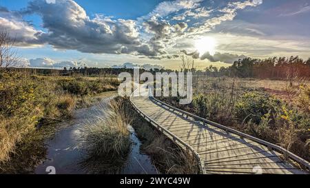 Surrey Hills Thursley and Fresnsham Common lowland heath SSI SPA Stock Photo