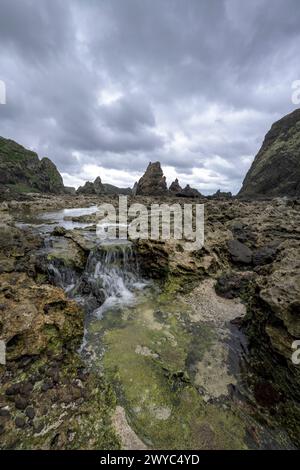 A gentle waterfall trickles down mossy rocks into tide pools with a backdrop of sharp coastal rock formations Stock Photo