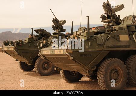 Stryker Fighting Vehicles, Texas Stock Photo