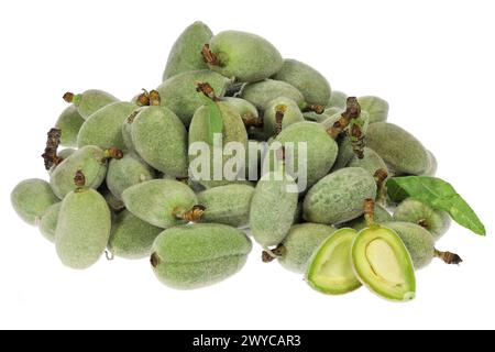 green almonds (cagla badem) from Turkey isolated on white background Stock Photo