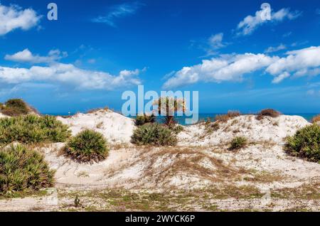 Beach sand dunes in sunny day and Lighthouse Ponce de Leon Inlet in New Smyrna beach, Florida. Stock Photo