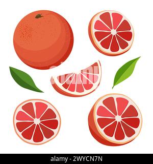 Set of juicy and healthy red grapefruit and slices isolated on white background. Vector sliced fruit illustration in flat style. Summer clipart for de Stock Vector