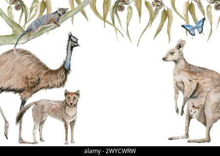 Emu and kangaroo greeting card with dingo and possum decorated with gum tree eucalyptus leaves. Australian native animals watercolor illustration Stock Photo