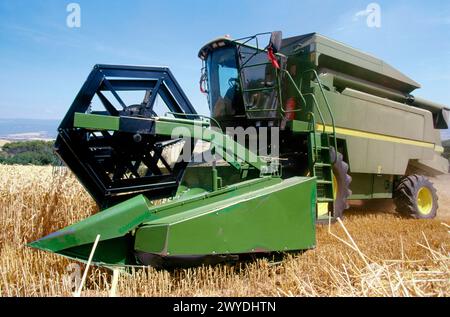 Wheat harvest. Stock Photo