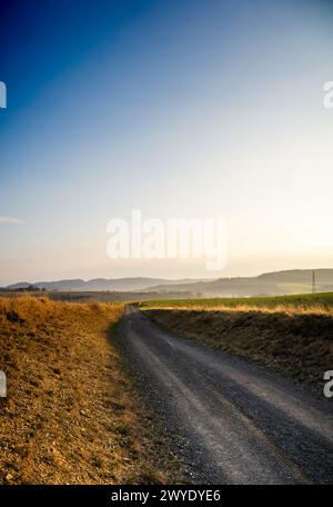 Dirt Road Cutting Through Field Stock Photo