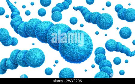 Bacteria Streptococcus and Streptococcal infections as gram-positive bacterial outbreak as spherical Streptococcaceae cell division spreading and grow Stock Photo