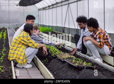 group of young school teenager learning agricultural in plant vegetable nursery agriculture farm gardening in greenhouse Stock Photo