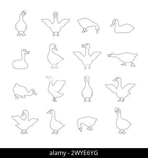 Set of linear gooses silhouette. Domestic and wild ducks on white background. Agriculture birds on farm. Rural wildlife. Hand drawn print. Vector Stock Vector