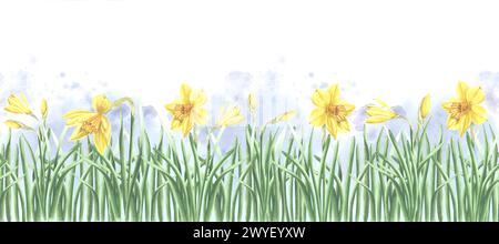 Yellow daffodils in grass nature landscape, seamless border. Spring flowers, horizontal banner. Hand drawn watercolor illustration garden plants. Temp Stock Photo